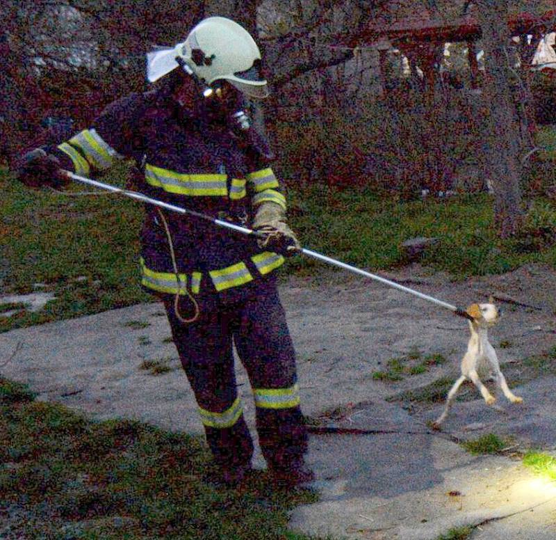 U DOMU mrtvé seniorky bylo pořádně rušno. Zasahovali tu hasiči, záchranáři, strážníci a kriminalisté. 