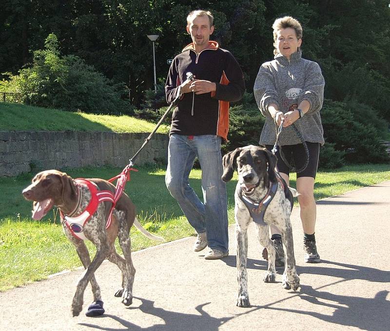 Přípravy na Mistrovství Evropy  v canicrossu a bikejöringu vrcholí