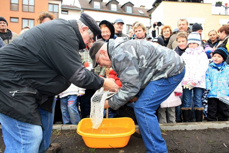 Tradičního topení kapra se zúčastnily stovky lidí.