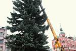 Vánoční strom již stojí na náměstí