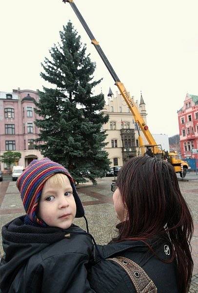 Vánoční strom již stojí na náměstí