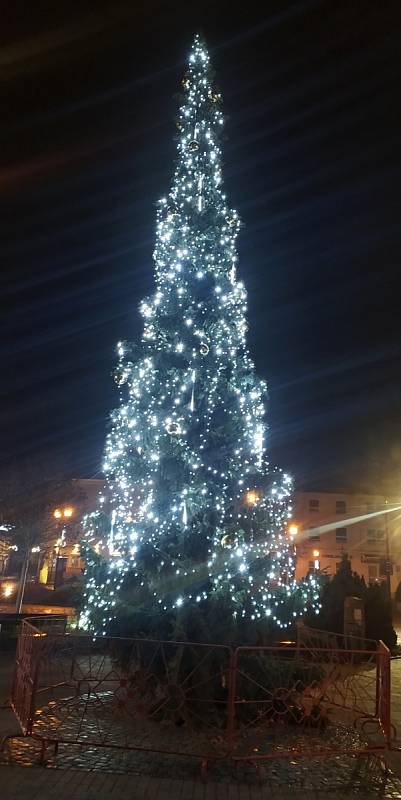 Vánoční strom v Krásné Lípě