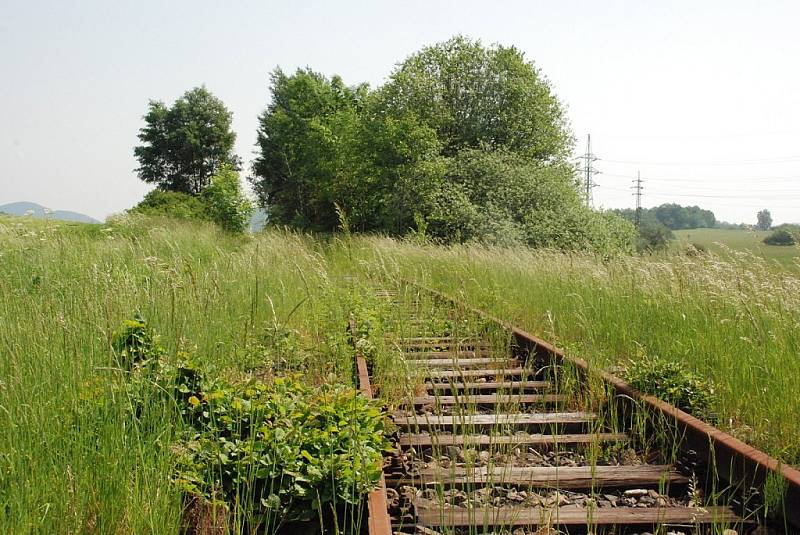 Železniční trať se na mnoha místech ztrácí před očima pod bujnou vegetací