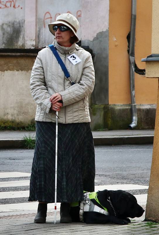 Závod vodících psů ve Varnsdorfu.