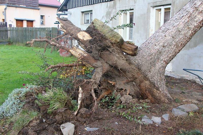 Hasiči likvidují strom spadlý na dům v Děčíně - Horním Oldřichově.