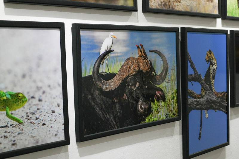 Výstava Africké umění a šperky v děčínském muzeu.