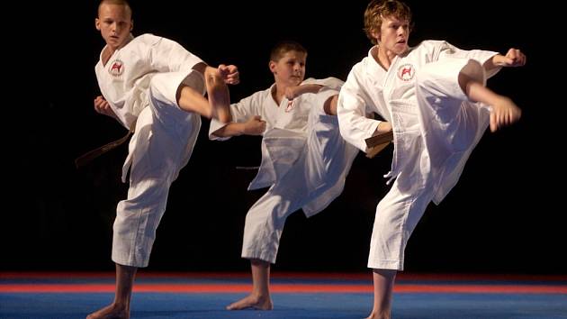 Ilustrační foto karate