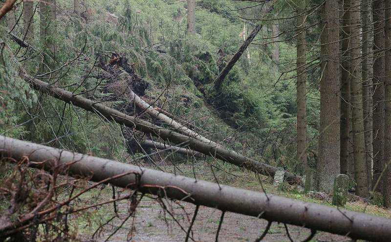 Likvidace škod po vichřici Herwart v národním parku.