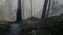 Hasiči bojují s požárem lesa. Hoří v těžko přístupném terénu.