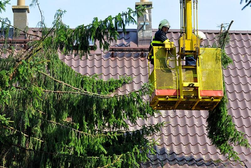 PADLÝ STROM. Ve Varnsdorfu spadl strom na dům.