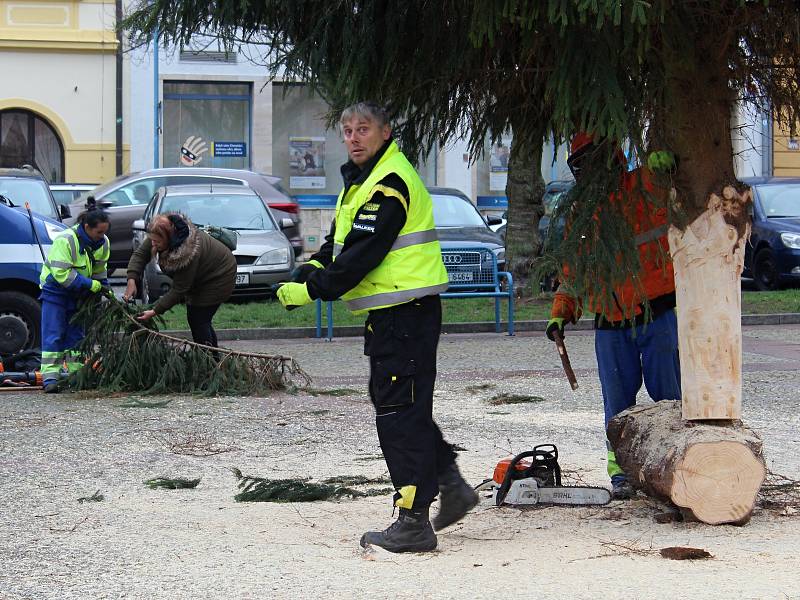 V pátek přivezli vánoční strom na Masarykovo náměstí v Děčíně.