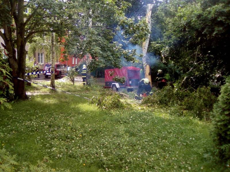 Bouřka zasáhla také břízu mezi domy na křižovatce Přemyslovy a Rakovnické ulice.