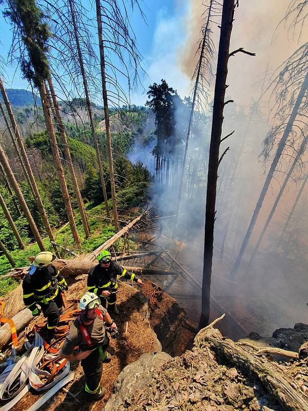 V Českém Švýcarsku hoří les, při jeho hašení pomáhají i letadla.