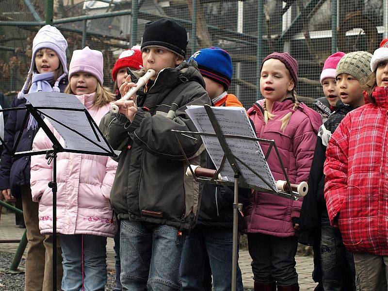 Čertovský rej na Pastýřské stěně byl i letos plný čertů, ale samozřejmě nechyběl ani Mikuláš s andělem. 