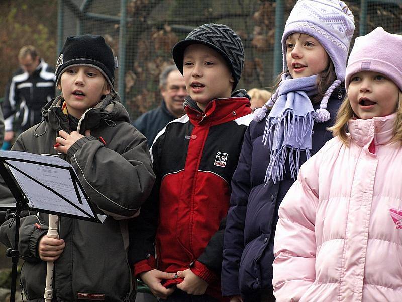 Čertovský rej na Pastýřské stěně byl i letos plný čertů, ale samozřejmě nechyběl ani Mikuláš s andělem. 