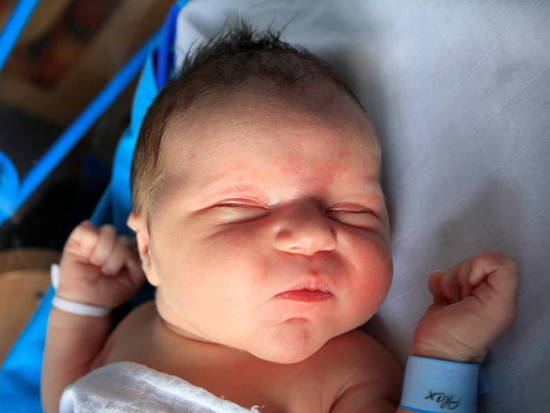 Alex Malý se narodil Aleně Malé z Bad Schandau 18. července v 15.40 v děčínské porodnici. Měřil 52 cm a vážil 4,2 kg. 