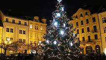 Vánoční strom na Masarykově náměstí v Děčíně. Ilustrační foto