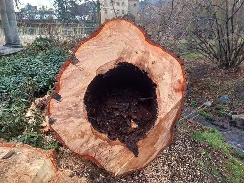 Vichřice polámala stromy i v jílovském zámeckém parku