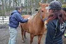 Chiropraktik Stuart Brock v děčínské zoo.