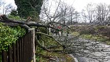 Ve Varnsdorfu v ulici Jiřího z Poděbrad vítr zlomil strom.