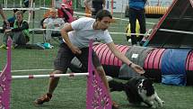 MĚSTSKÝ STADION v Děčíně hostil závody agility.