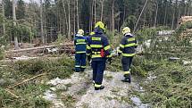 S následky vichřice bojují také hasiči v Kytlicích na Děčínsku, jeden z padlých stromů zastavil vlak z Jedlové do Děčína.