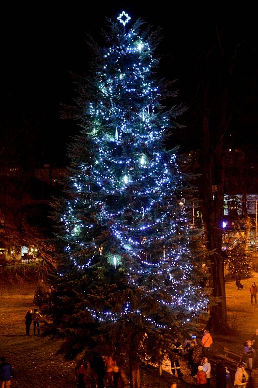 Rozsvěcení vánočního stromu Varnsdorf. 