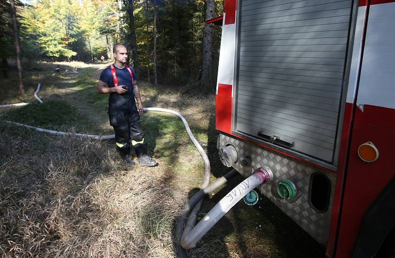 Lesní požár u Tisé hasiči likvidují už druhý den