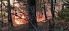 Požár v Českém Švýcarsku se nedaří zkrotit, ve hře je zákaz vstupu do lesů