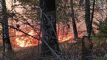 Požár lesa v národním parku, neděle 24. července.