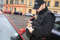 Strážník Městské policie Děčín kontroluje platnost parkovacích karet.