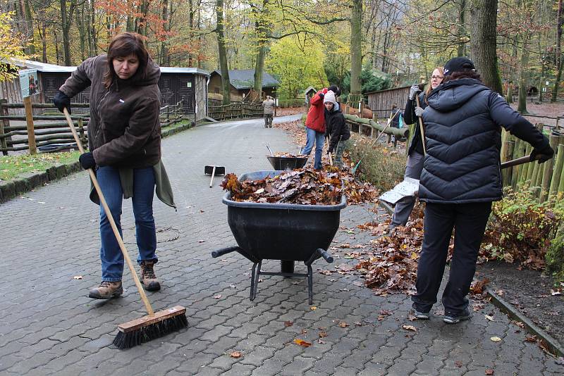 V zoo likvidovali v pondělí následky vichřice. Bylo nutné odstranit spadlé stromy a větve.