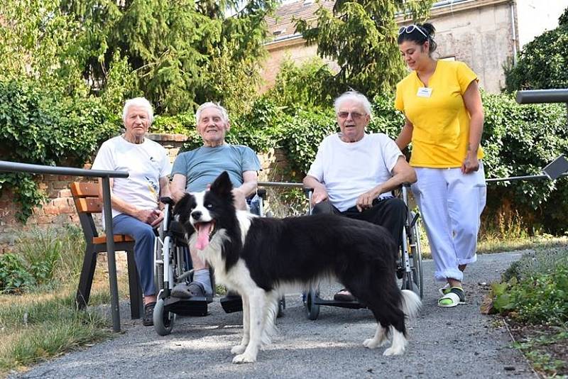 Odlehčovací služba pomůže s náročnou péčí o vašeho blízkého