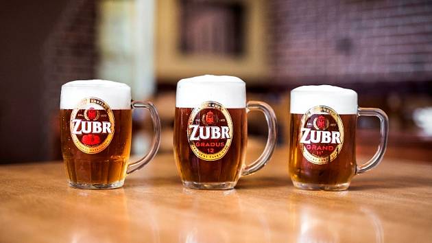 Potvrzeno odborníky: Na nejlepší pivo vyrazte do Přerova za Zubrem - PR  Deník