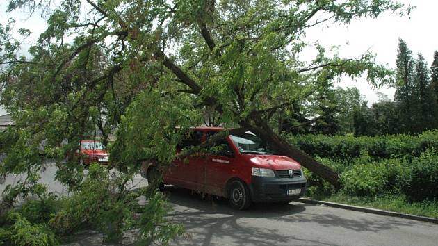 Zásah hasičů ve Spořicích. Vítr porazil strom, který spadl na auto.