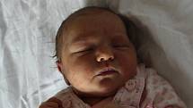 Lucie Hejnová se narodila mamince Janě Hejnové a tatínkovi Václavovi Hejnovi z Chomutova 17.6.2019 v 5:37 hodin. Měřila 51 cm a vážila 3,2 kg. Životem ji bude provázet bráška Matěj Hejna (3,5 roku).