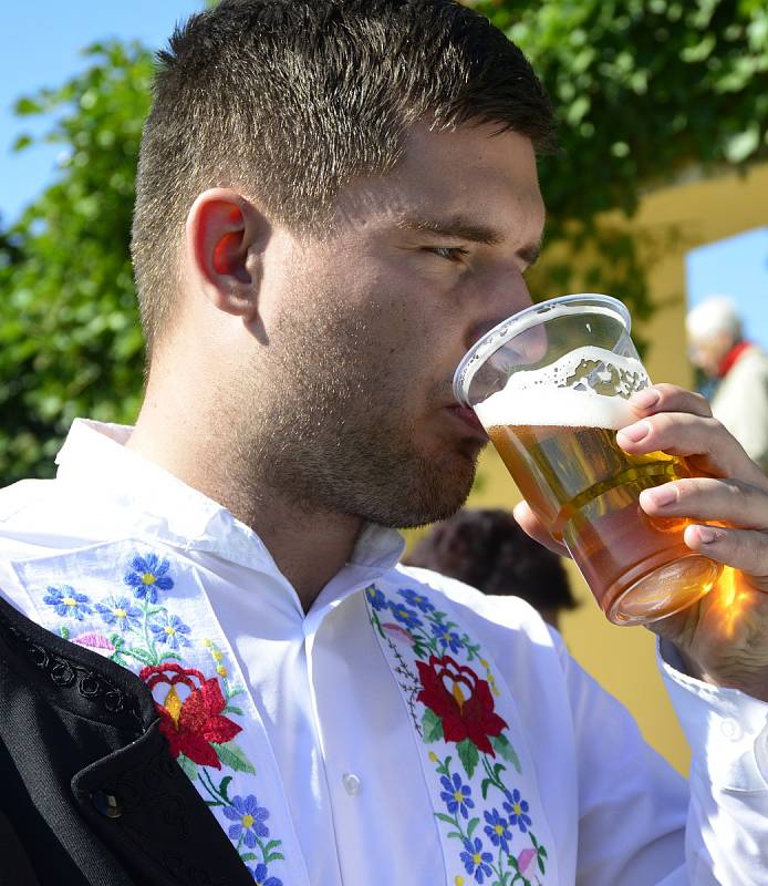 Svatováclavské vinobraní v Kadani.