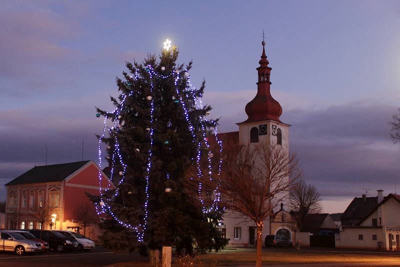 Vánoční strom v Radonicích u Kadaně