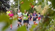 Chomutov zopakoval po loňské premiéře "Chomutovský půlmaraton"