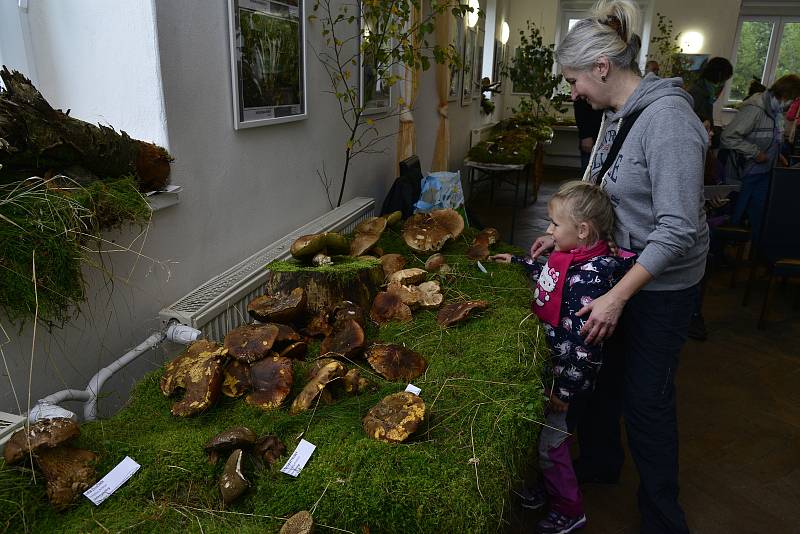 V Kalku v Krušných horách si dali dostaveníčko příznivci houbaření. Po přednášce o houbách a léčitelství si mohli návštěvníci pochutnat na houbovém guláši, tlačence a dalších chuťovkách z hub. Proběhla i výstava a soutěž o ceny.