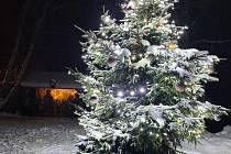 Vánoční strom v Domašíně - Petlerech zvítězil v okresním kole ankety Vánoční strom Deníku 2023.