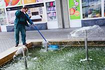 Fontánu v Palackého ulici letos opravovali několikrát. Na snímku pracovník technických služeb Miroslav Duchek při čištění vodní hladiny. 