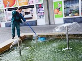 Fontánu v Palackého ulici letos opravovali několikrát. Na snímku pracovník technických služeb Miroslav Duchek při čištění vodní hladiny. 