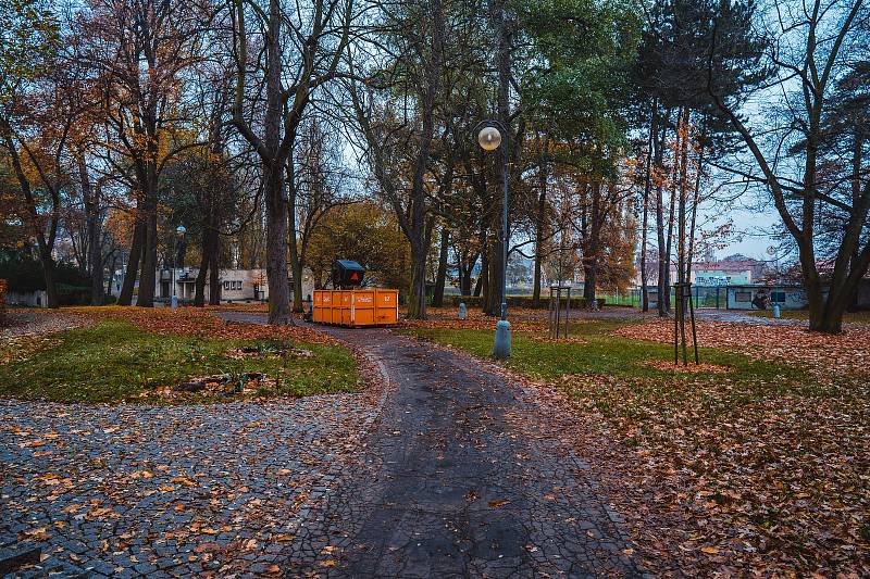 I v chomutovském městském parku je v současné době velký spad listí ze stromů.