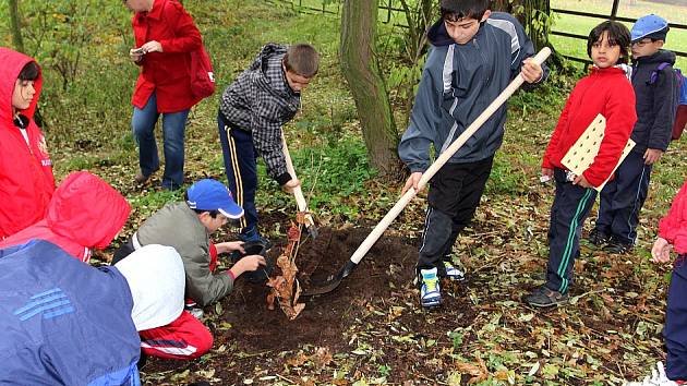 Výsadby keřů v zooparku se s elánem chopili také obyvatelé místního dětského domova a zařízení Klokánek, které je azylem pro děti v tíživé životní situaci. Do unikátního sadu přibylo i 22 kaštanovníků jedlých.