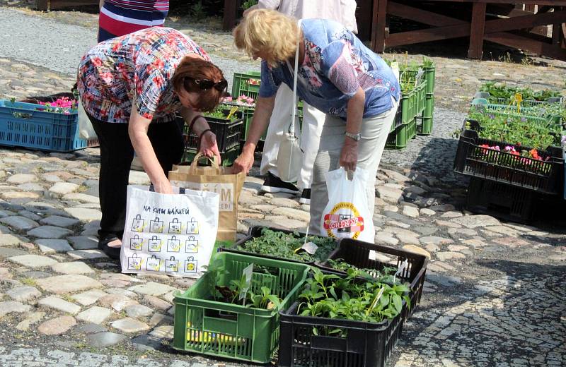 Středeční Severočeské farmářské trhy na Mírovém náměstí v Kadani.