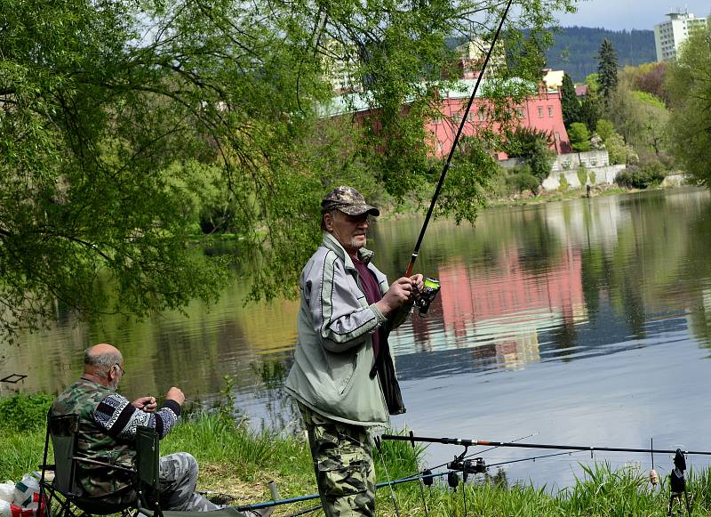 U řeky Ohře v Klášterci nad Ohří,rybáři líčili na rybky všeho druhu.