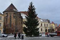 V neděli bude rozsvícen vánoční strom v Chomutově.