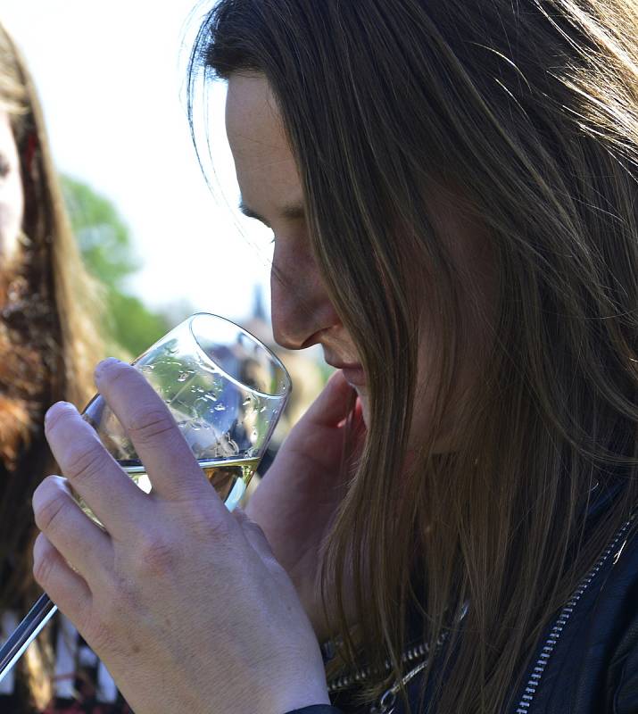 Svatováclavské vinobraní v Kadani.