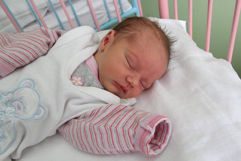 Sofie Karlovská se narodila 18. února 2013 v 8:50 hodin mamince Růženě Grosmanové z Chomutova. Sestřičky z chomutovské porodnice jí připsaly míry 48 centimetrů a 2,7 kilogramu.